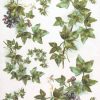 Rice Paper - Vintage Ivy large