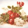 Rice Paper - Roses Large 32x45cm