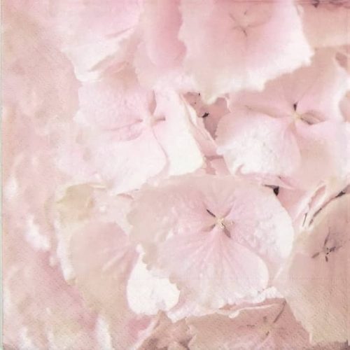 Paper Napkin - Hortensia