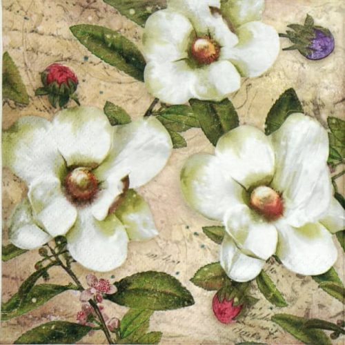 Paper Napkin - Trois Magnolia Blanc