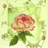 Paper Napkin - Enchanting Roses