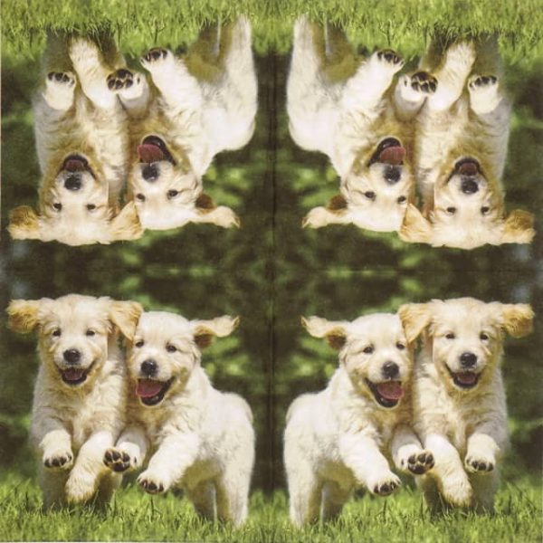 Paper Napkin - Happy Puppies