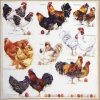 Paper Napkin - Poulets