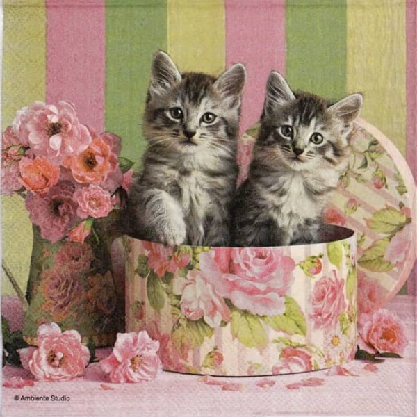 Paper Napkin - Cats in the box_Ambiente_13312890