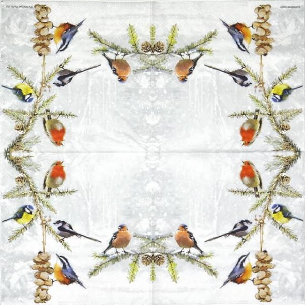 Paper Napkin - All Birds Together