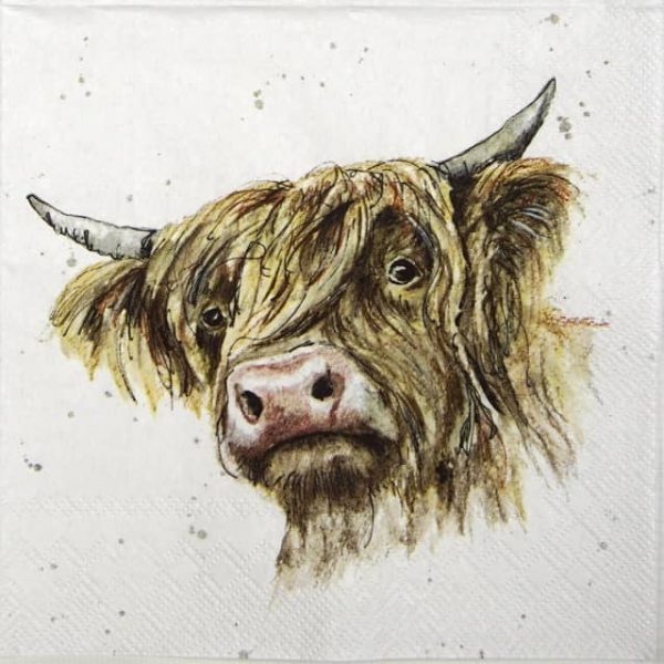 Single Decoupage Napkin - Farmfriends Galloway