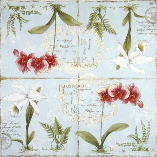 Lunch Napkins (20) -  L'Orchidée Light Blue