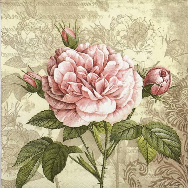 Paper Napkin - Vintage Rose with buds