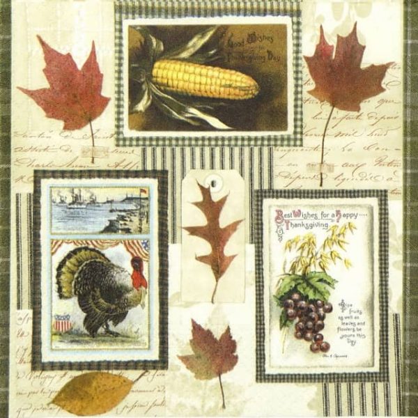 Lunch Napkins (20) - Thanksgiving