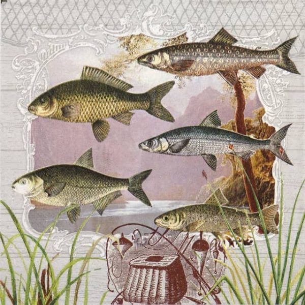 Paper Napkin - Fish Portrait
