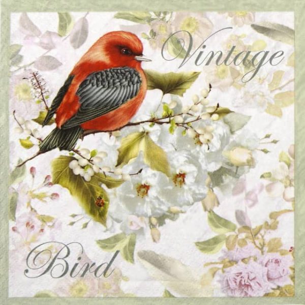 Paper Napkin - Vintage Bird