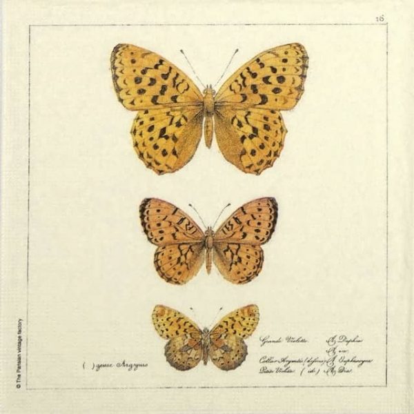 Paper Napkin - Parisian vintage factory: Papillons Antiques