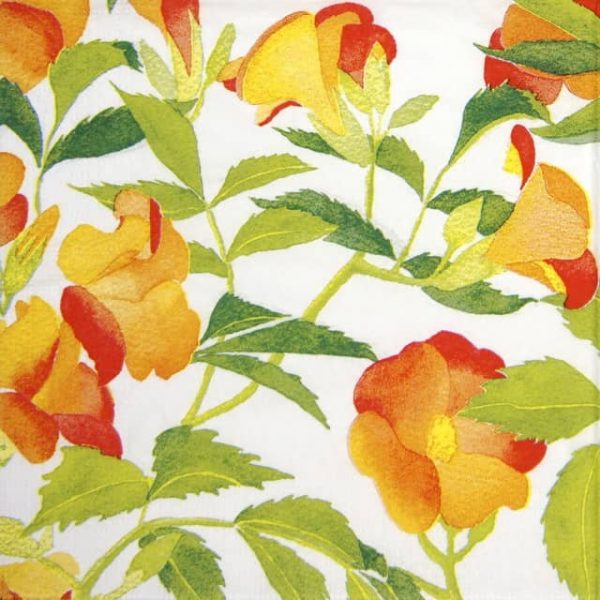 Paper Napkin - Brigitte Murat: Bégonia