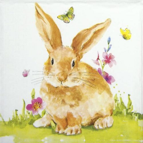 Cocktail Napkins (20) - Carola Pabs: Mr. Rabbit