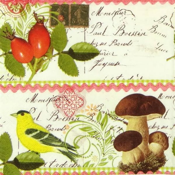 Lunch Napkins (20) - Botanical Postcard