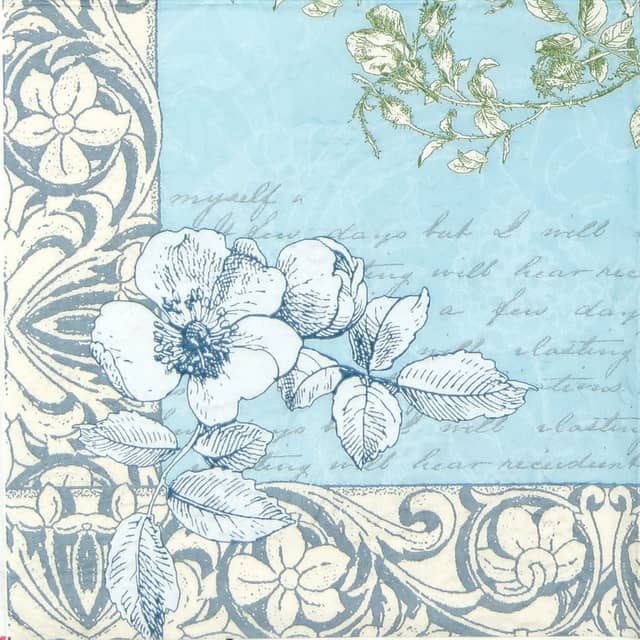 Paper Napkin - Romantic Border