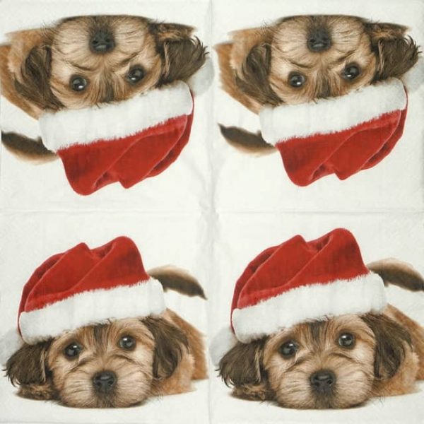 Paper Napkin - Santa Dog
