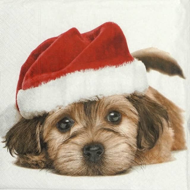 Paper Napkin - Santa Dog