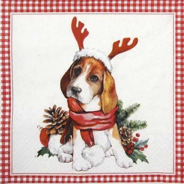 Paper Napkin - Santa dog_Paw_SDL013900