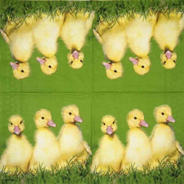 Paper Napkin - Pirmin - Image 2
