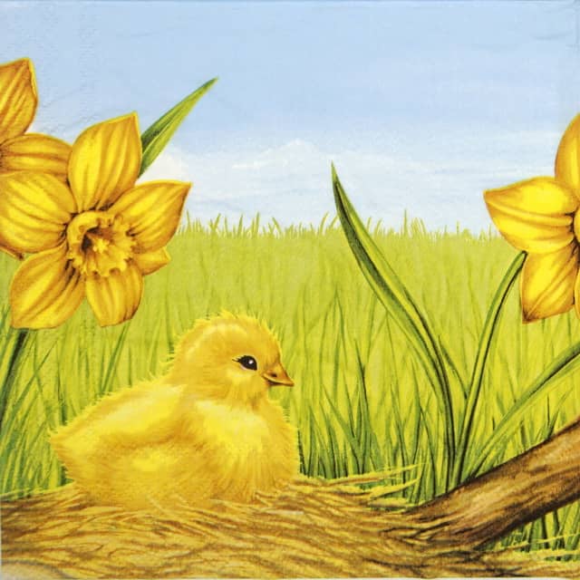 Lunch Napkins (20) - Easter Starts