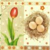 Paper Napkin - Spring Easter Tulips