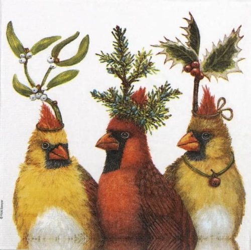 Cocktail Napkin - Vicki Sawyer: Holiday party