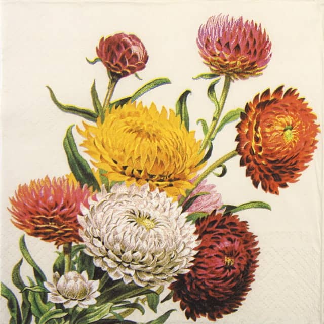 Lunch Napkins (20) - Strawflowers