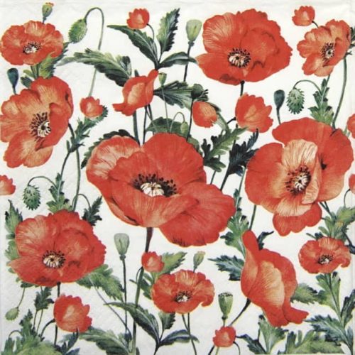 Lunch Napkins (20) - Flanders Poppy