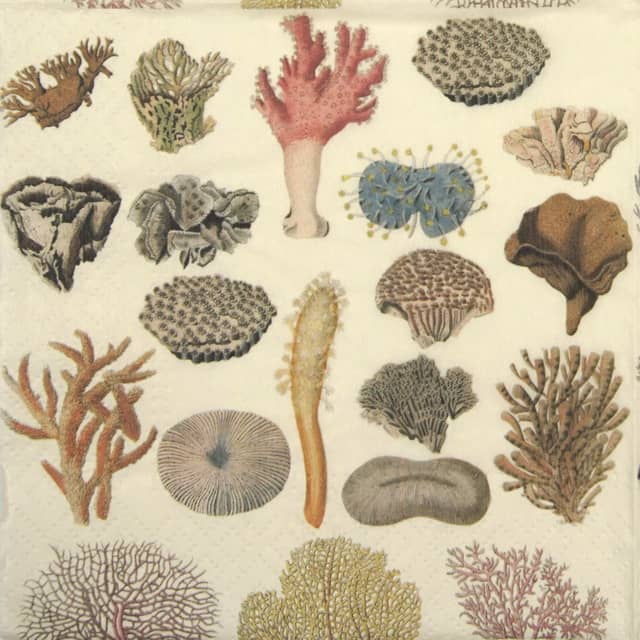 Paper Napkin - Corals