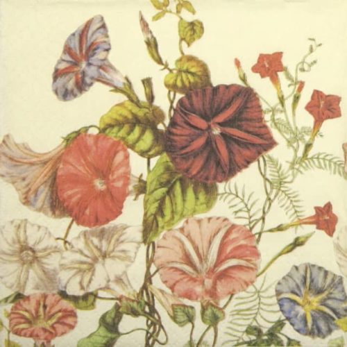 Paper Napkin - Flower Field