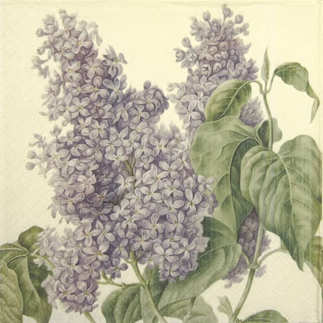 Lunch Napkins (20) - Lilac Flower