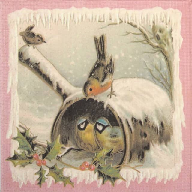 Lunch Napkins (20) - Christmas birds
