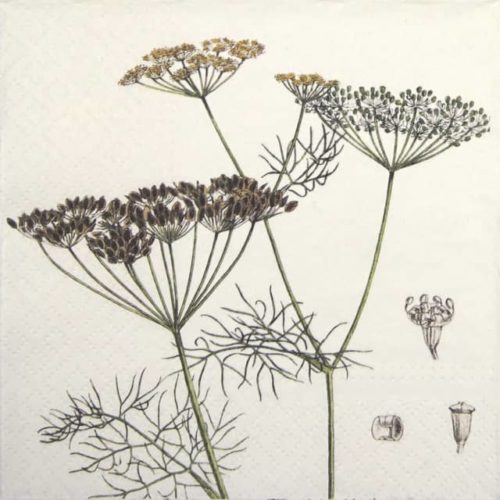 Paper Napkin - Dill