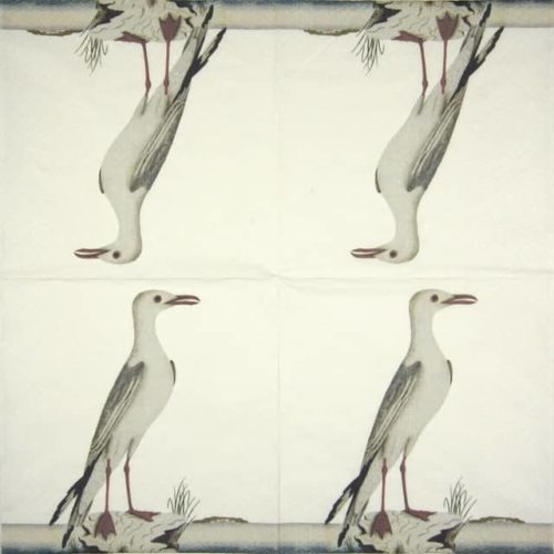 Paper Napkin - Seagull