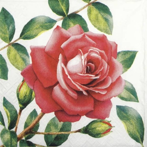 Paper Napkin - Special Rose