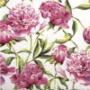 Lunch Napkins (20) - Pink Peonies