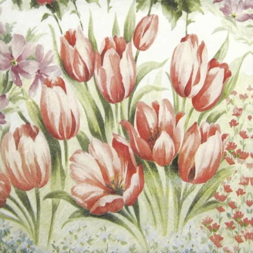 Lunch Napkins (20) - Bright Tulips