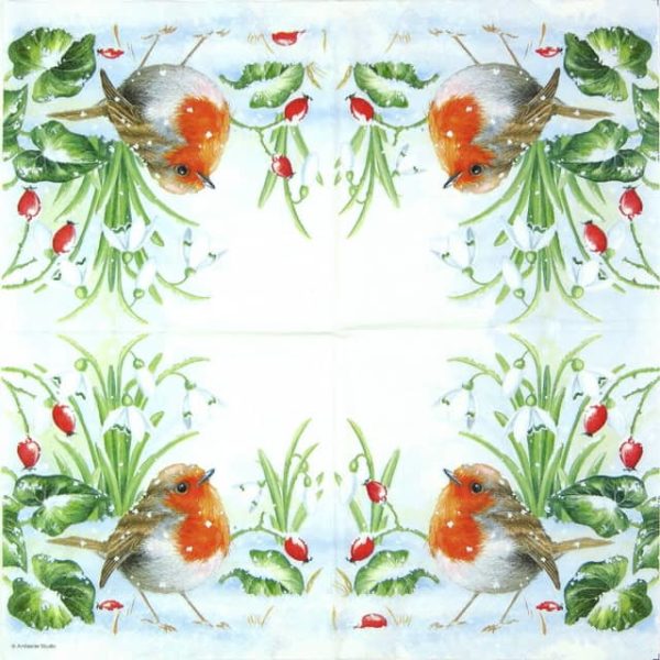 Paper Napkins - Robin (20 pieces)