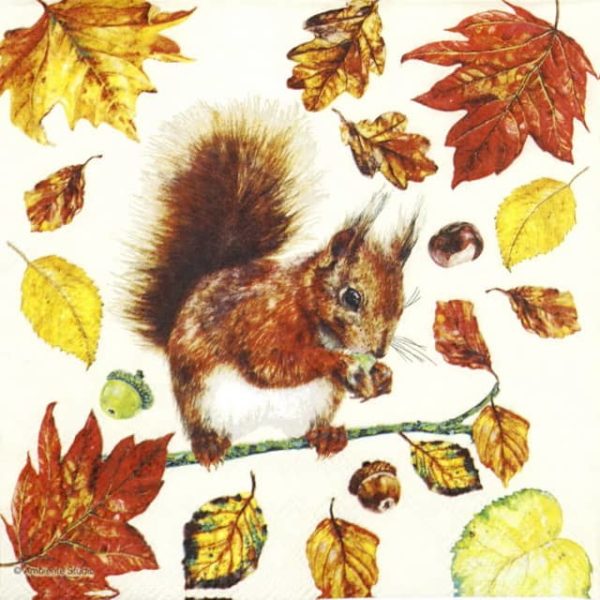 Lunch Napkins (20) -  Eating Squirrel