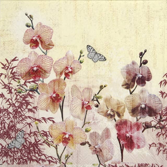 Lunch Napkins (20) - Orchid orient