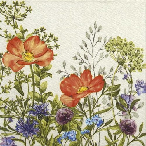 Lunch Napkins (20) - Meadow in June