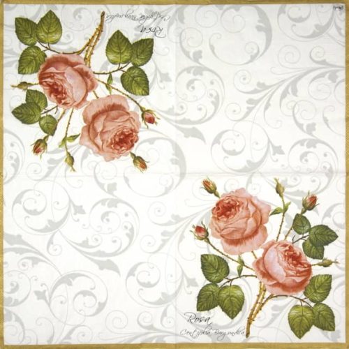 Maki_Rosa-Centifolia-white_SLOG003101