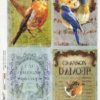Rice Paper - Birds - 0138 (22 x 32cm)