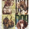 Rice Paper - Dogs - 0141 (22 x 32cm)