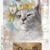 Rice Paper - Cat and Butterfly - 0163 (22 x 32cm)