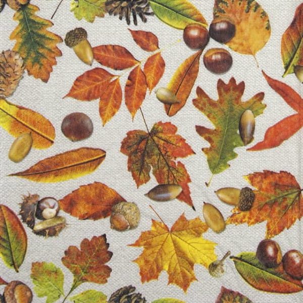 Cocktail Napkins (20) - Autumn Festival