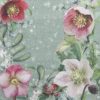 Cocktail Napkins (20) - Helleborus Orientalis Green