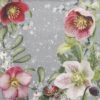 Cocktail Napkins (20) - Helleborus Orientalis Grey