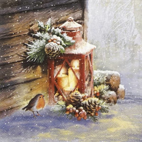 Lunch Napkins (20) - Robin By Lantern